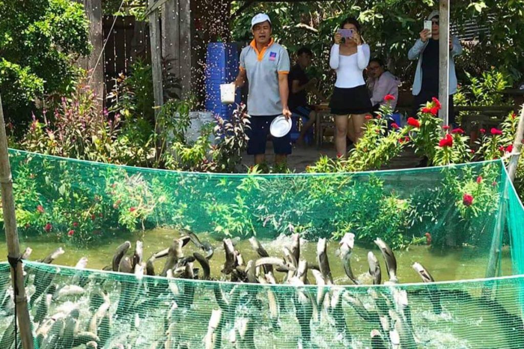 Du Lịch Miền Tây – Top 30+ Chương Trình Tour Miền Tây Nam Bộ