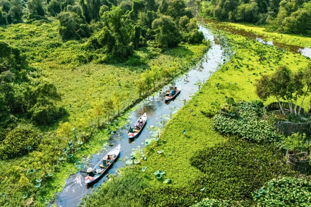 Kinh Nghiệm Đi Rừng Tràm Trà Sư An Giang Chi Tiết Từ A Đến Z