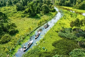 Kinh Nghiệm Đi Rừng Tràm Trà Sư An Giang Chi Tiết Từ A Đến Z