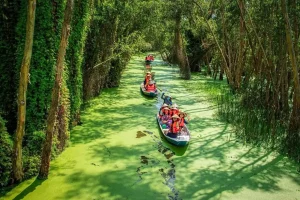 Miền Tây Mùa Nước Nổi Nên Đi Rừng Tràm Trà Sư Hay Tràm Chim Tam Nông