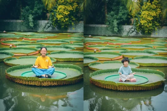 Tour Đồng Tháp Chùa Lá Sen (Phước Kiển Tự)