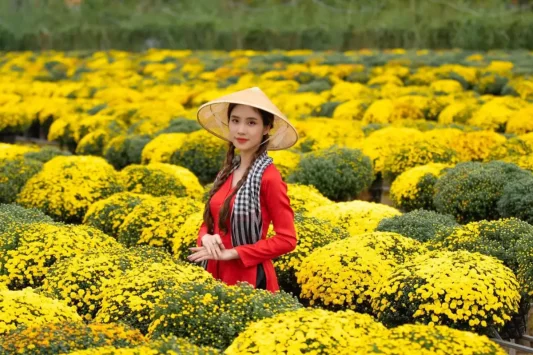 Tour Đồng Tháp Làng hoa Sa Đéc