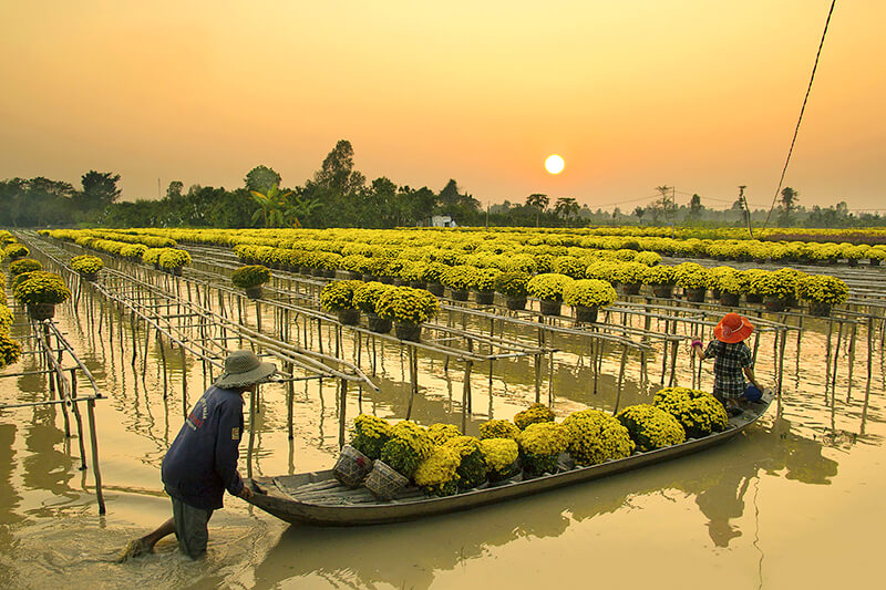 Tour Du Lịch Miền Tây Nam Bộ - Vườn Hoa Sadec