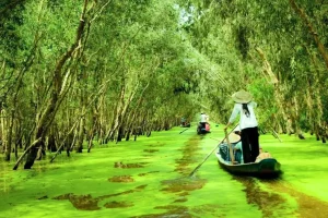 Tour Miền Tây Rừng tràm Trà Sư