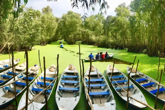 Tour Miền Tây mùa nước nổi Rừng tràm Trà Sư