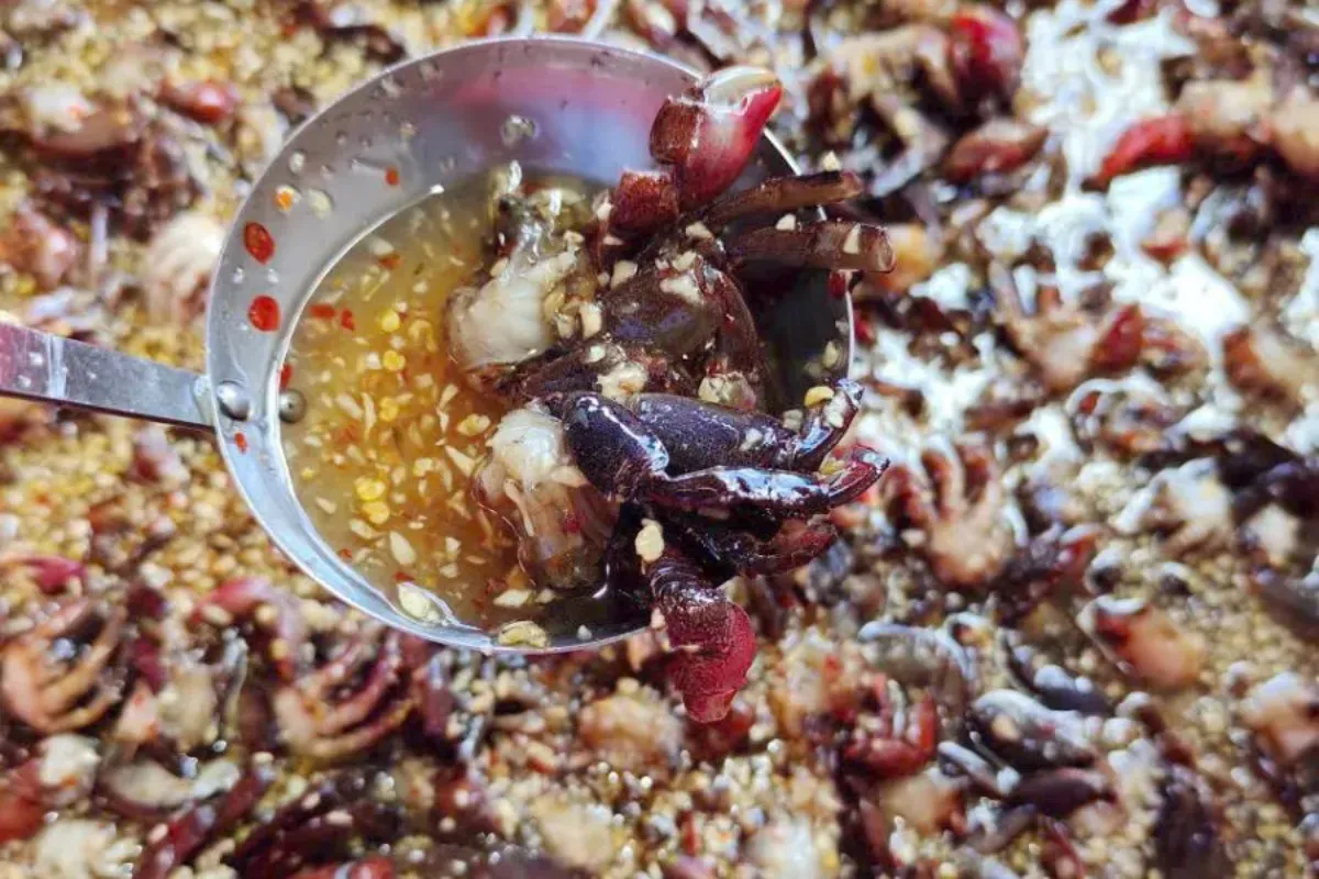 Kinh nghiệm du lịch cà mau