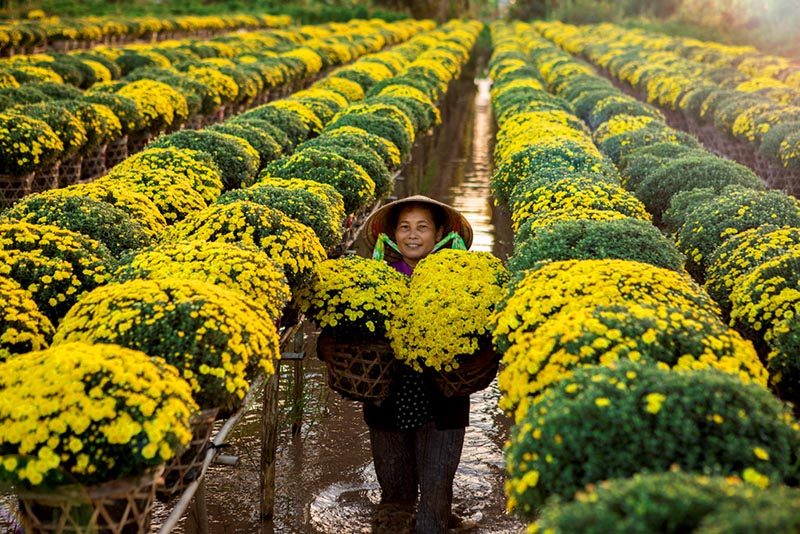 Khám phá làng hoa Sa Đéc Đồng Tháp dịp Tết âm lịch