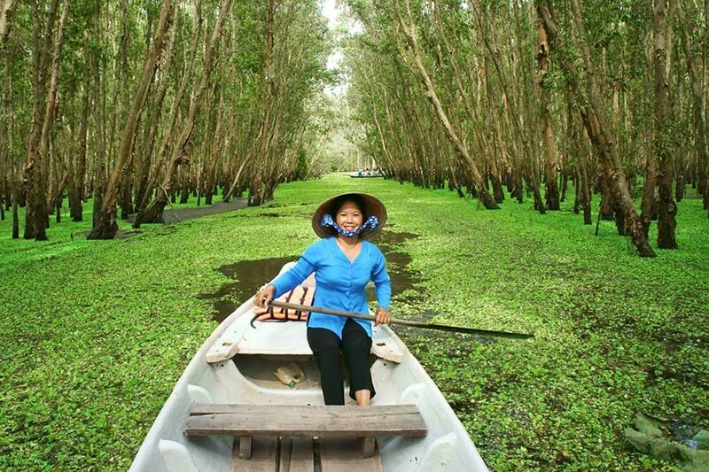 Thăm quan rừng tràm Trà Sư - An Giang