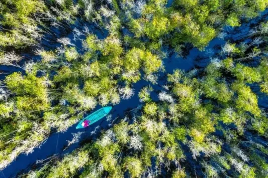 Tour Miền Tây 2 Ngày 1 Đêm: Đồng Tháp - Tràm Chim - Mỹ Phước Thành - Xẻo Quýt