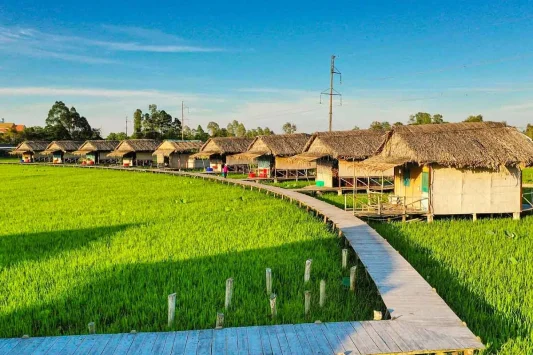 Tour Miền Tây 2 Ngày 1 Đêm: Đồng Tháp - Tràm Chim - Mỹ Phước Thành - Xẻo Quýt