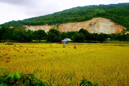 Tour Miền Tây: Khám Phá An Giang Bằng Xe Caravan 3 Ngày 2 Đêm